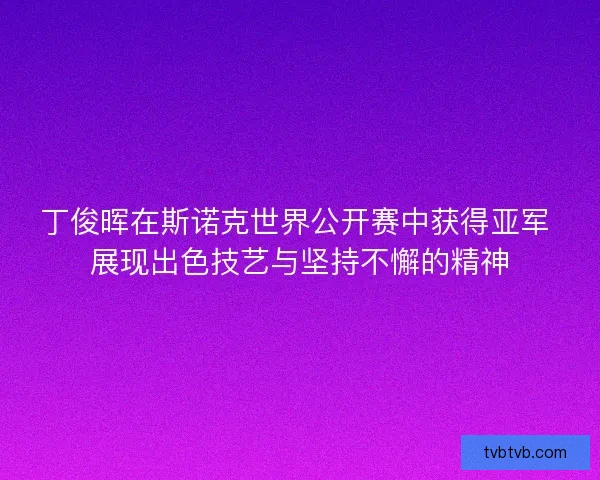 丁俊晖在斯诺克世界公开赛中获得亚军 展现出色技艺与坚持不懈的精神