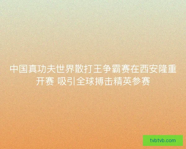 中国真功夫世界散打王争霸赛在西安隆重开赛 吸引全球搏击精英参赛