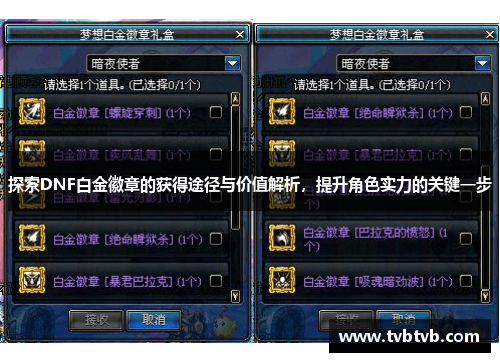 探索DNF白金徽章的获得途径与价值解析，提升角色实力的关键一步