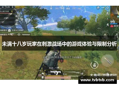未满十八岁玩家在刺激战场中的游戏体验与限制分析