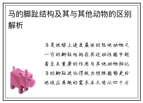 马的脚趾结构及其与其他动物的区别解析
